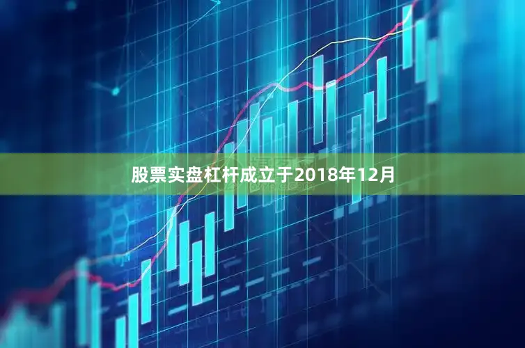 股票实盘杠杆成立于2018年12月