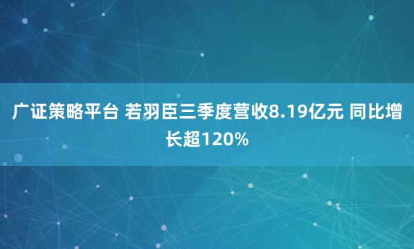 广证策略平台 若羽臣三季度营收8.19亿元 同比增长超120%
