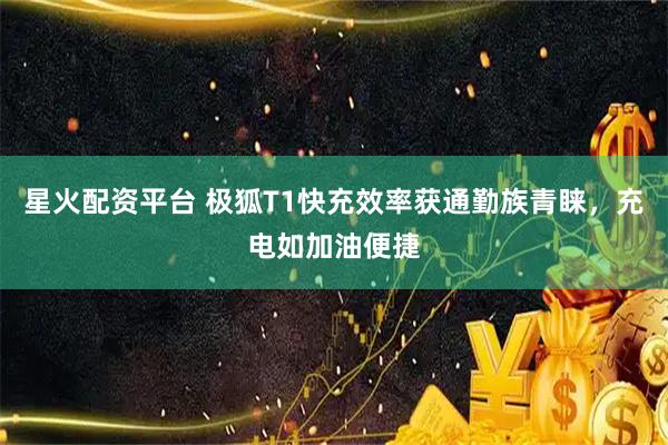 星火配资平台 极狐T1快充效率获通勤族青睐,充电如加油便捷