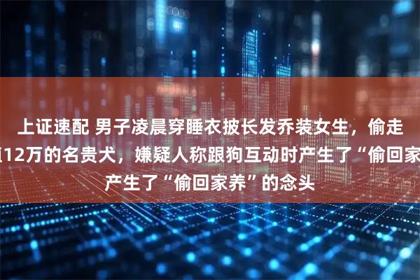 上证速配 男子凌晨穿睡衣披长发乔装女生，偷走宠物店价值12万的名贵犬，嫌疑人称跟狗互动时产生了“偷回家养”的念头